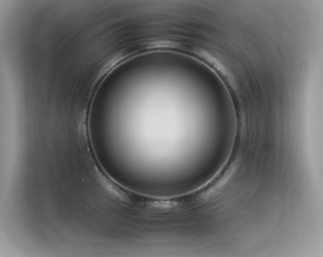 X0000113371137200909151354