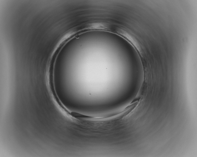 X0000113371139200909151354
