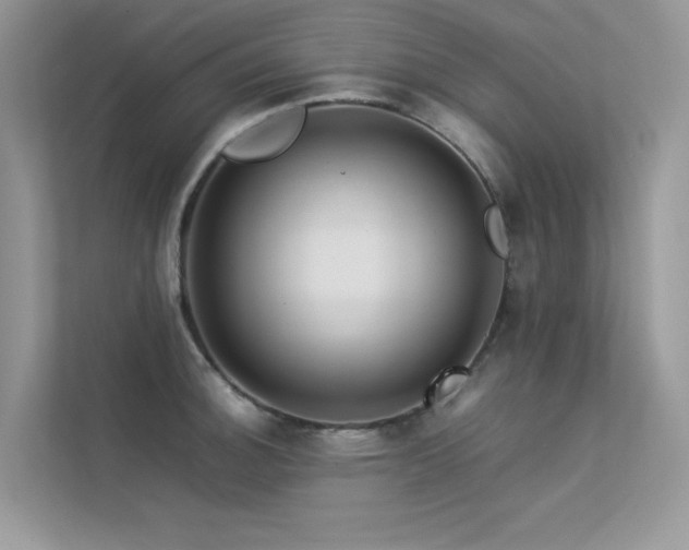 X0000113371140200909151354