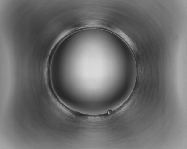 X0000113371142200909151354