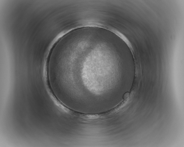 X0000113371144200909151354