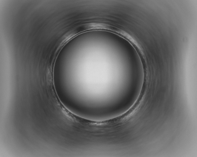 X0000113371145200909151354