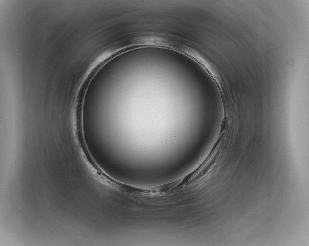 X0000113371147200909151354