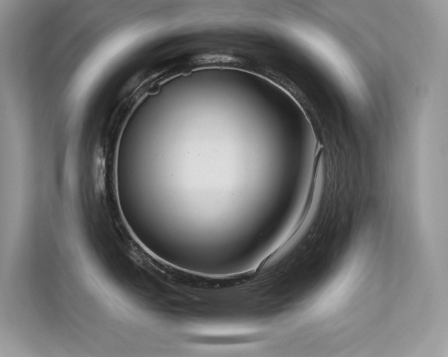 X0000113371151200909151354