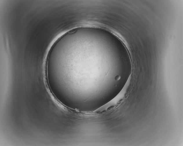 X0000113371152200909151354