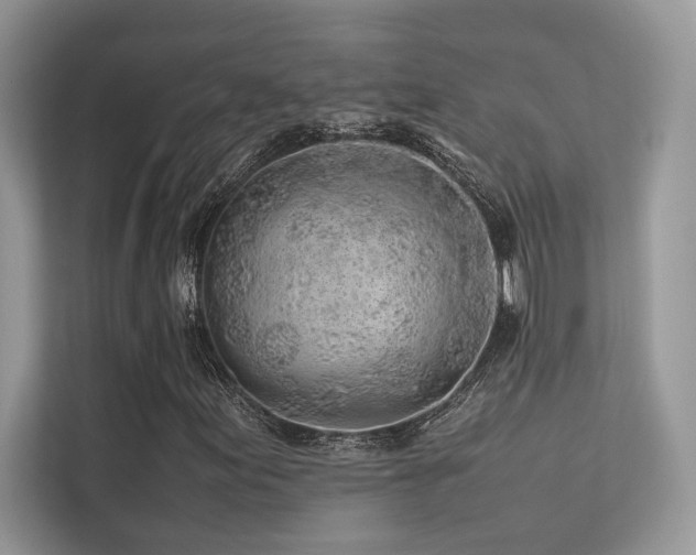 X0000113371155200909151354