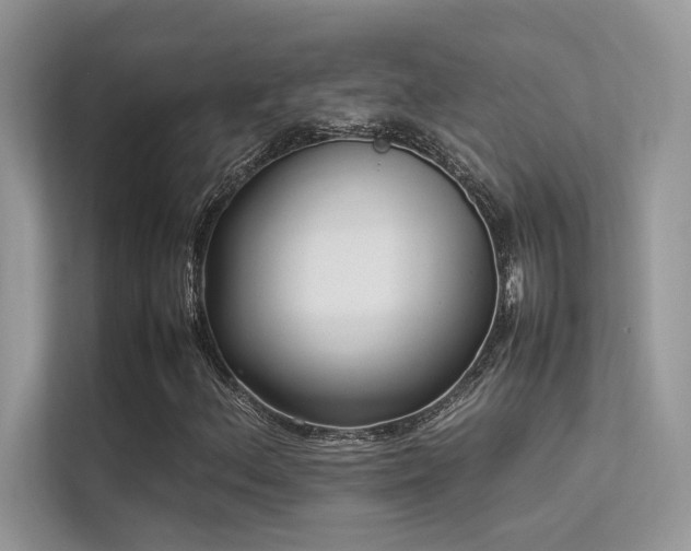 X0000113371156200909151354