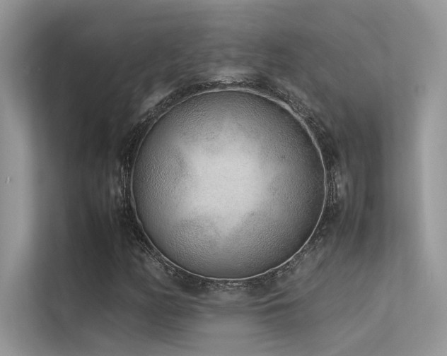 X0000113371158200909151354