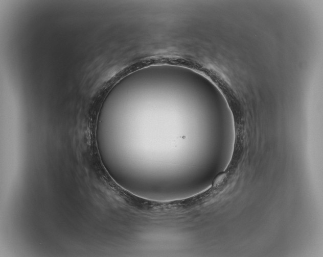 X0000113371159200909151354