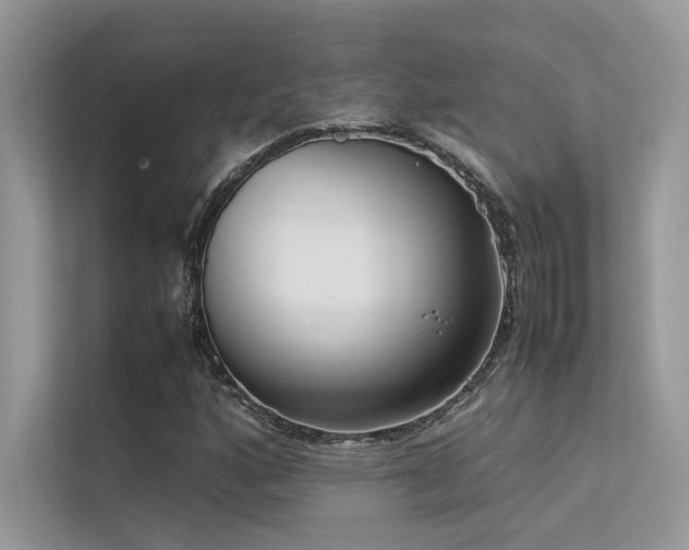 X0000113371160200909151354