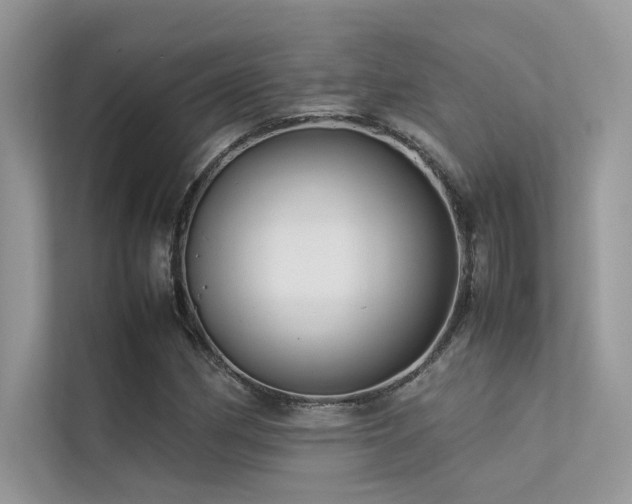 X0000113371162200909151354