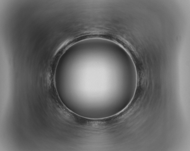 X0000113371163200909151354