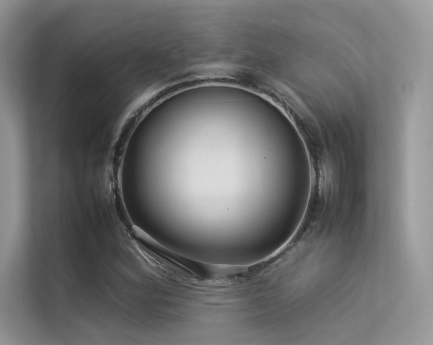 X0000113371164200909151354