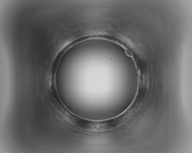 X0000113371165200909151354