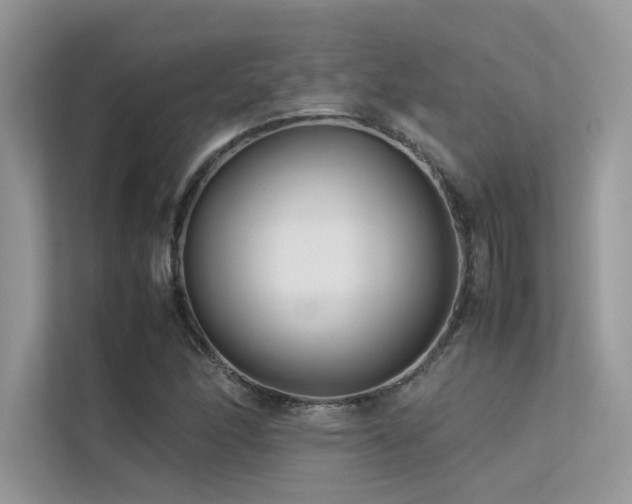 X0000113371166200909151353