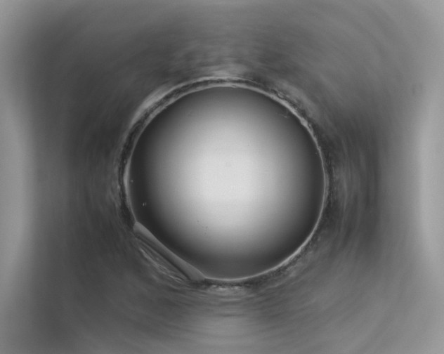 X0000113371168200909151353