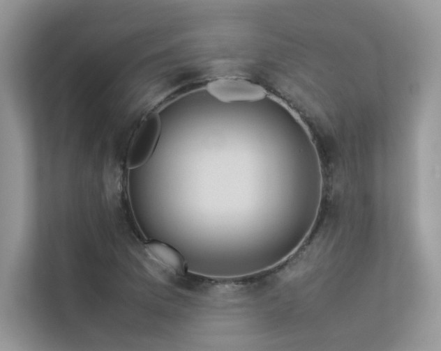 X0000113371169200909151353