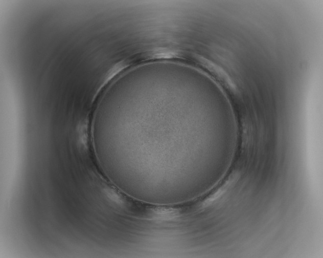 X0000113371170200909151353