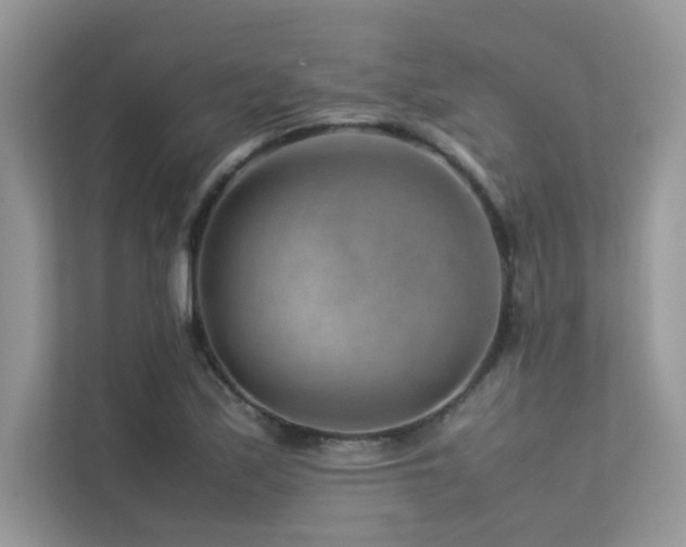 X0000113371171200909151353