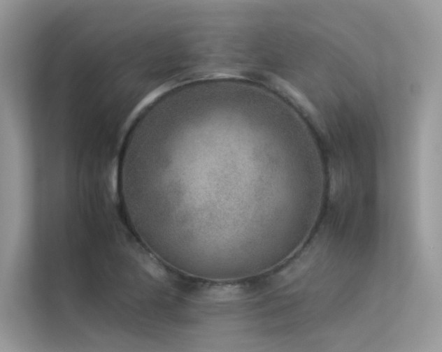 X0000113371174200909151353