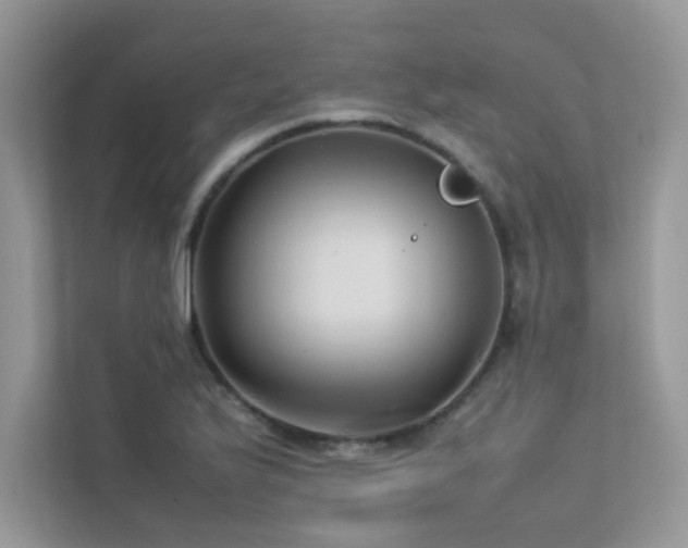 X0000113371175200909151353