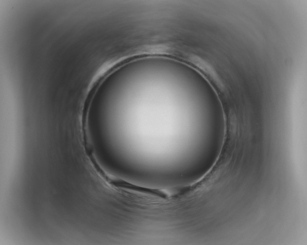 X0000113371176200909151353