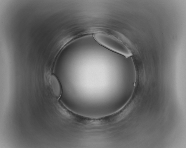 X0000113371177200909151353