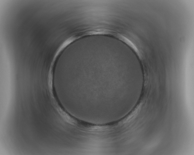 X0000113371179200909151353