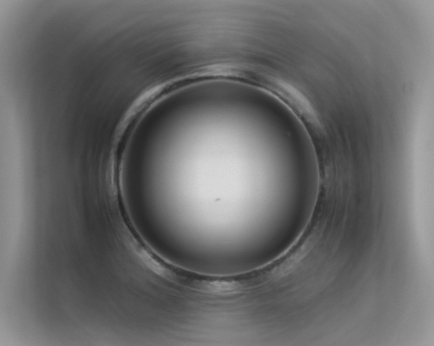 X0000113371180200909151353