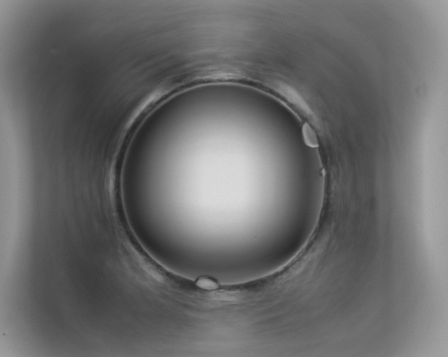 X0000113371181200909151353