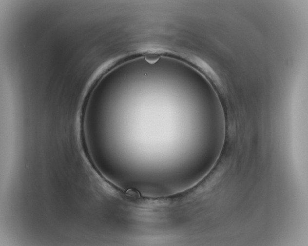 X0000113371183200909151353
