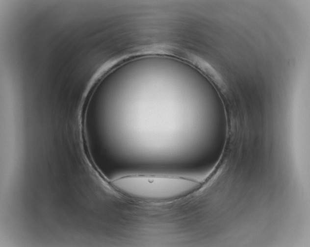 X0000113371184200909151353