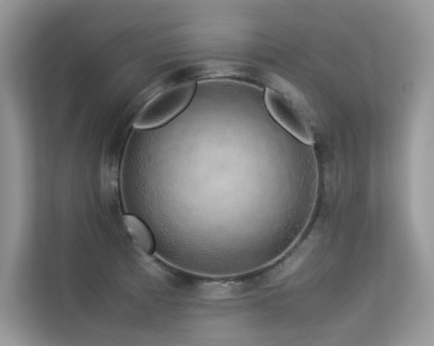 X0000113371185200909151353