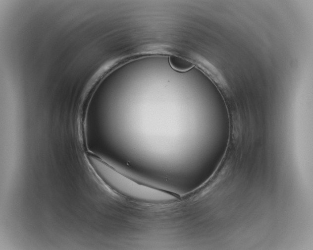 X0000113371188200909151353