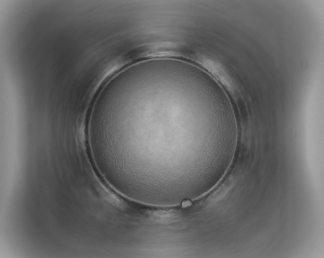 X0000113371189200909151353