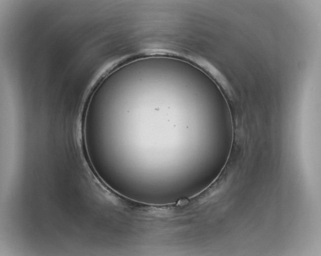 X0000113371191200909151353