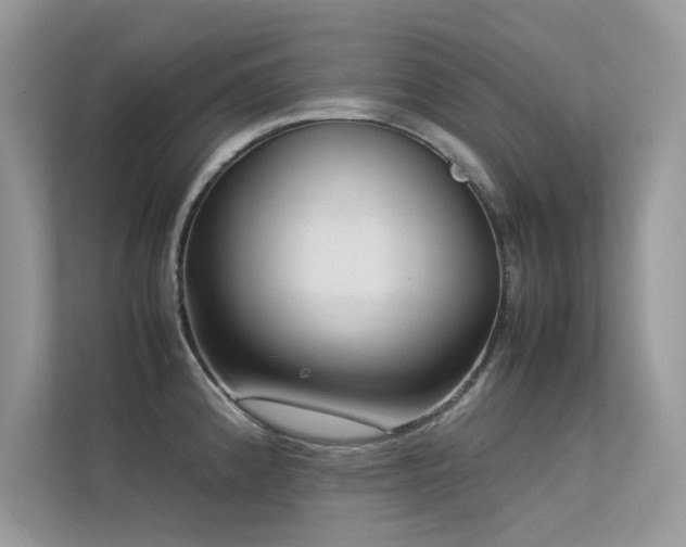X0000113371192200909151353