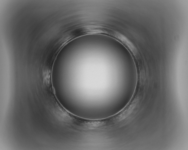 X0000113371193200909151353