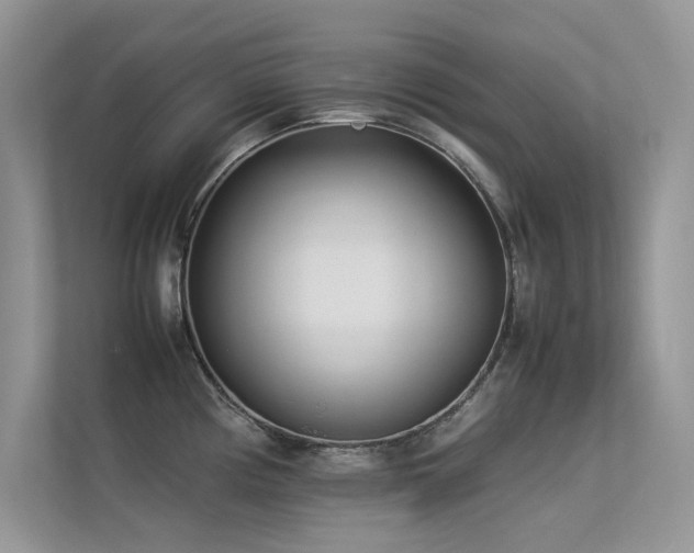 X0000113371194200909151353