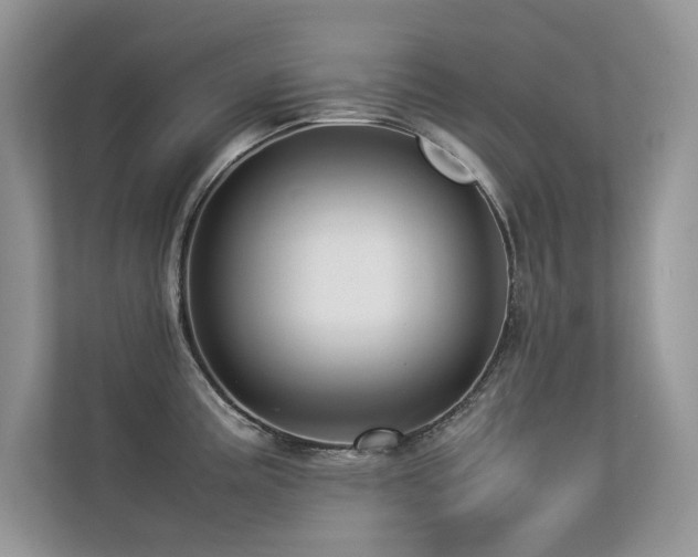 X0000113371195200909151353