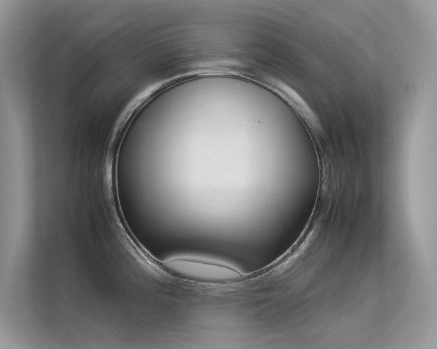 X0000113371196200909151353