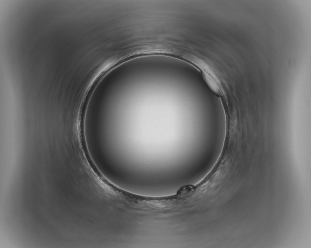 X0000113371197200909151353