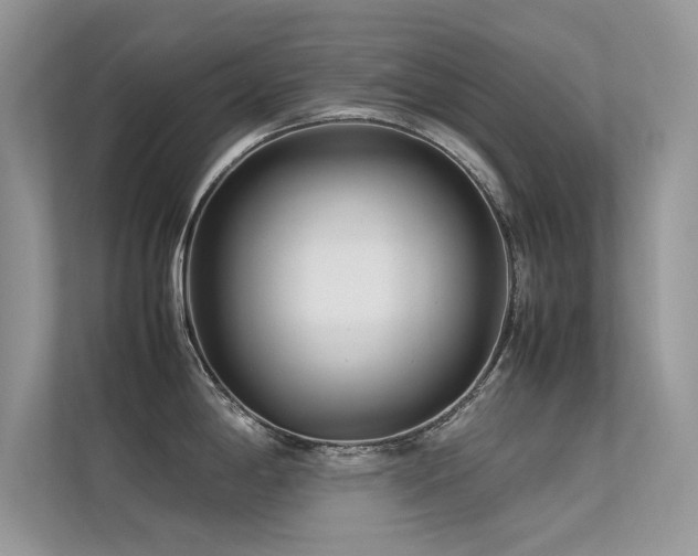 X0000113371198200909151353