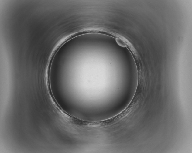 X0000113371199200909151353