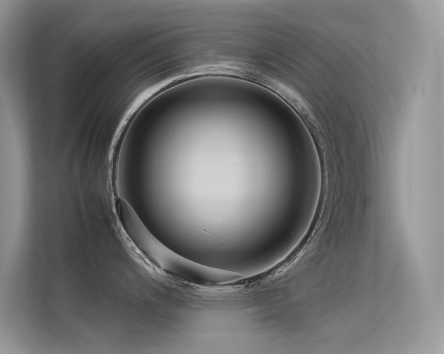 X0000113371200200909151353
