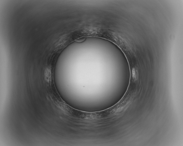 X0000113371203200909151352