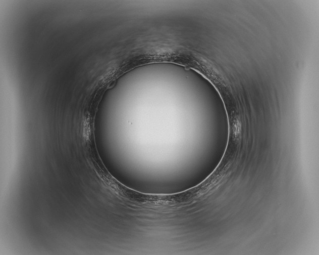 X0000113371204200909151352