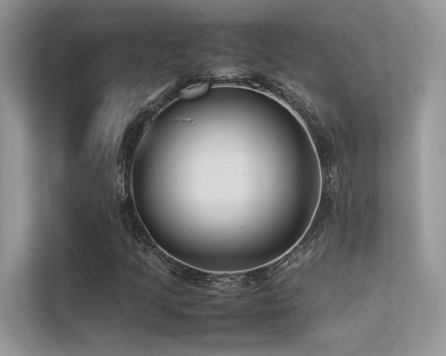 X0000113371205200909151352