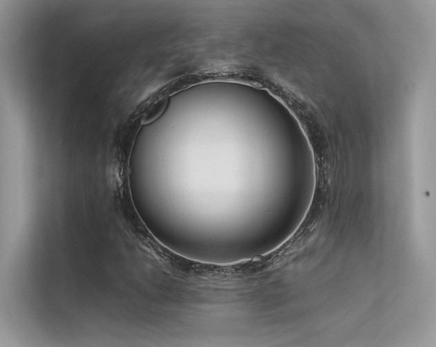 X0000113371206200909151353