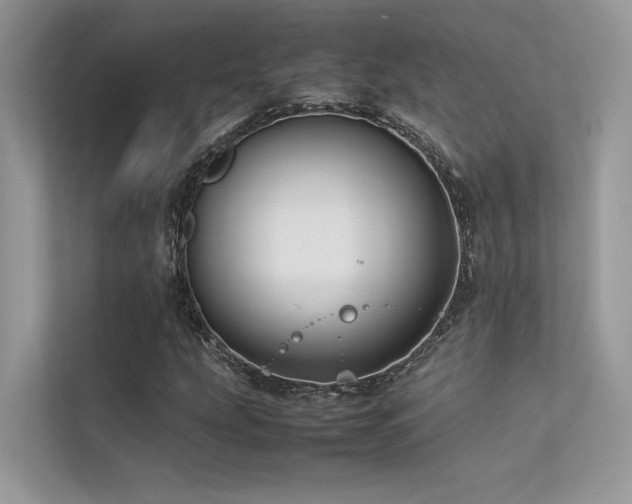 X0000113371207200909151353